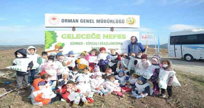 Çanakkale’de 43 bin fidan toprakla buluştu