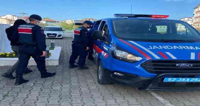 Ordu’da fındık hırsızları 2,5 ay sonra yakalandı