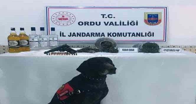 Ordu’da uyuşturucuya geçit yok