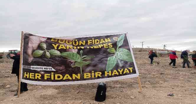 Iğdır’da ‘Geleceğe Nefes, Dünyaya Nefes’ fidan dikim seferberliği