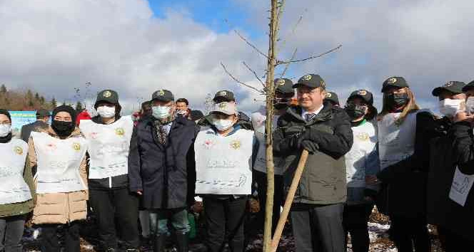 Giresun’da 80 bin fidan toprakla buluşturuldu