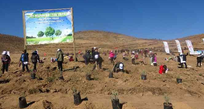 Uşak’ta hedef 1 milyon 107 bin fidan