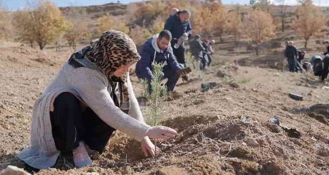 6 bin adet fidan toprakla buluştu
