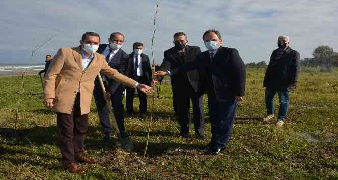 Fidanlar ormana dönüşecek