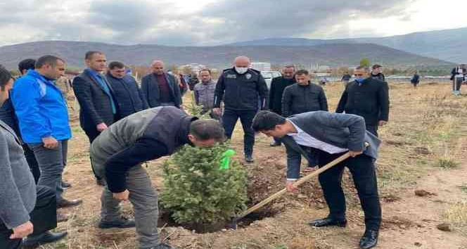 Güroymak’ta fidan dikimi