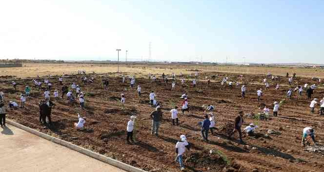 Yenişehir’de 500 fidan toprakla buluştu
