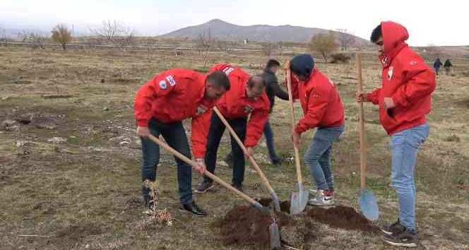 Tatvan’da fidan dikimi