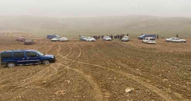 Jandarma’dan şafak operasyonu: Köpek dövüştüren 25 kişi gözaltında