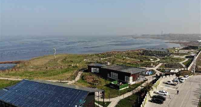 (Özel) 81 vilayette yetişen şifalı bitkileri tek bahçede yetiştirdiler