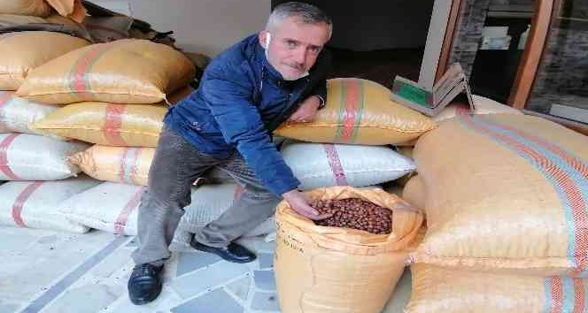 Serbest piyasada fındık fiyatı yükselişe geçti