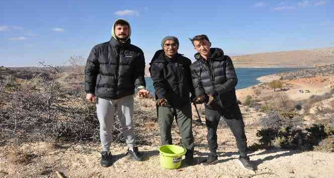 Karaman’da araştırma görevlisi 50 bin meşe palamudunu toprakla buluşturacak