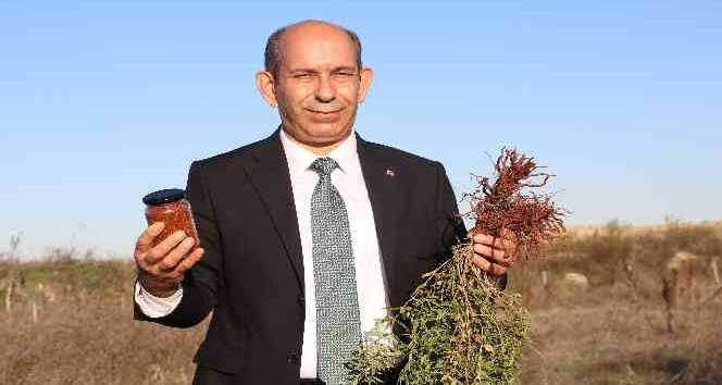 Formülü padişah fermanıyla yasaklanmıştı, yıllar sonra Edirne’de hayat bulmaya başladı