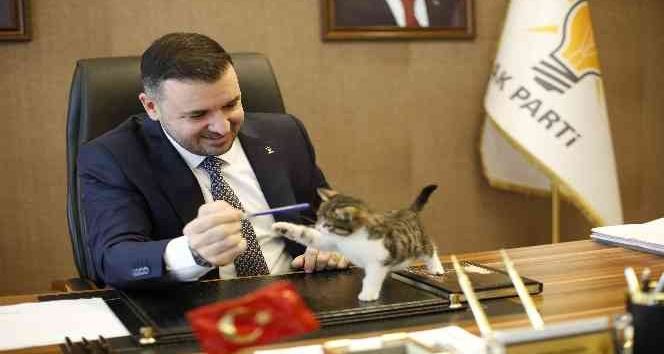 Yalova’nın en ‘Şanslı’sı