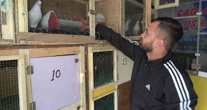 Kötü alışkanlıklardan korunmak için hayatını güvercinlere adadı