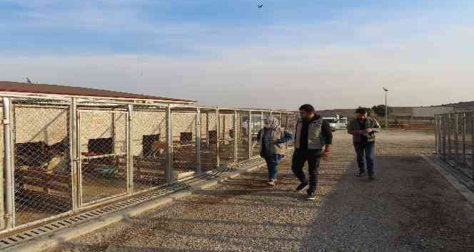 Geçici Hayvan Bakım evinde denetim