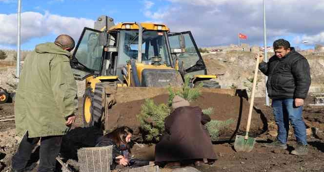 Ardahan’da yeşillendirme ve ağaç dikim çalışması