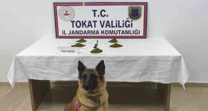 Tokat’ta tarihi eser, sahte içki ve uyuşturucu operasyonu: 21 gözaltı