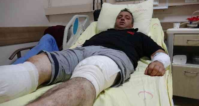 Ayı saldırısından güreşerek kurtuldu