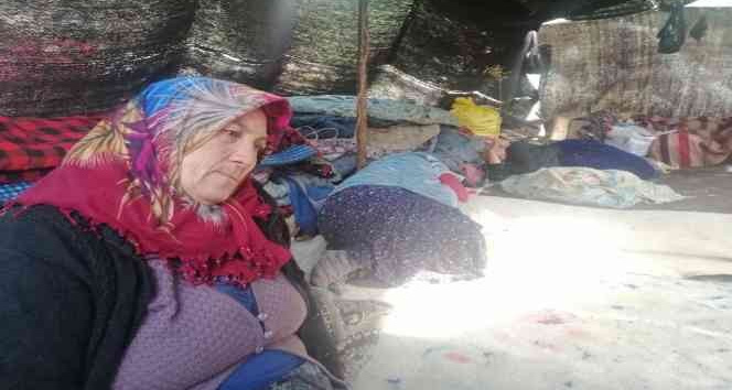 Müslüme’nin dedesi ve anneannesi serbest bırakıldı, 6 kişinin sorgusu sürüyor