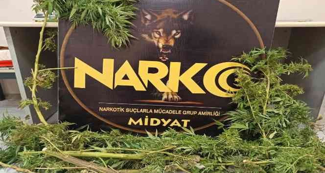 Mardin’de uyuşturucu madde ele geçirildi