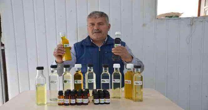 Torosların şifalı bitkilerinden 25 çeşit yağ çıkarıyor