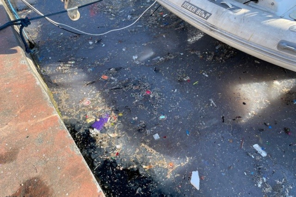 Arnavutköy sahili atıklar ve denizanalarıyla doldu