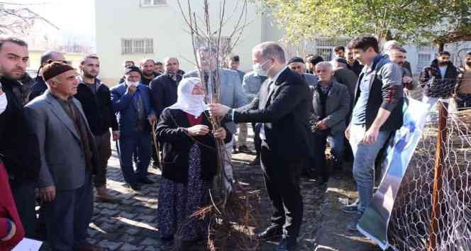 Hizan’da 22 bin meyve fidanı dağıtıldı