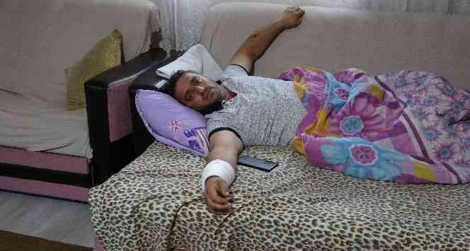 Ayı ile güreşen Tokatlı taburcu oldu, ayıdan haber yok