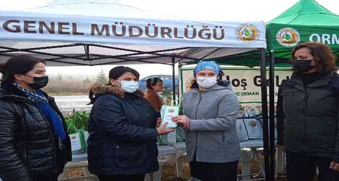 Edirne’de &quot;Tıbbi Aromatik Bitkiler Ormanı&quot; kuruluyor