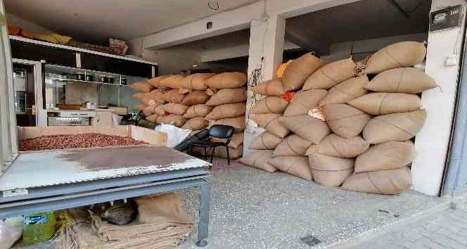 Doların yükselişi fındık fiyatlarını hareketlendirdi