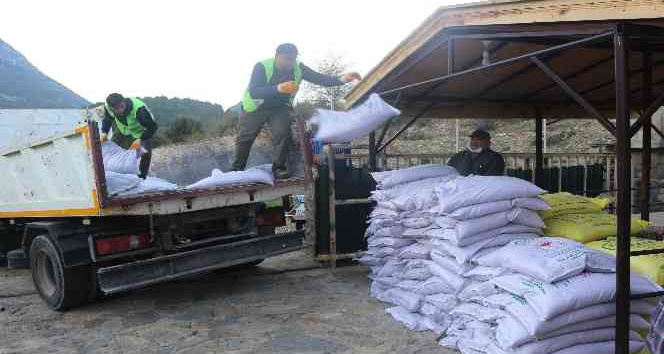 İbradılı üreticilere 3 ton hibe buğday tohumu teslim edildi