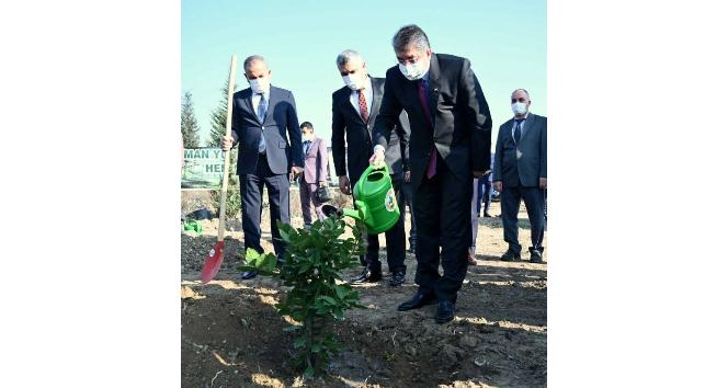 ‘Öğretmenler Günü Hatıra Ormanı’na 50 fidan dikildi