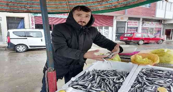 Hava koşulları hamsiyi etkiledi