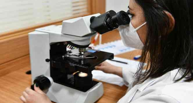 Ankara’da ücretsiz SMA testi için bin 911 çift başvurdu