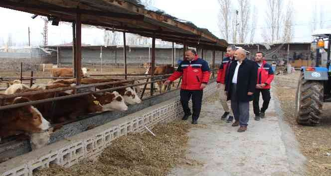 Karakoyunlu ilçesindeki işletmeler ziyaret edildi
