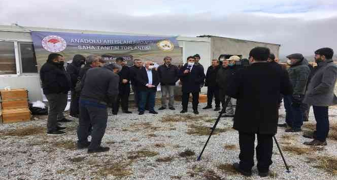 Kırşehir’de "Anadolu Arı Islahı Projesi" tanıtım toplantısı yapıldı