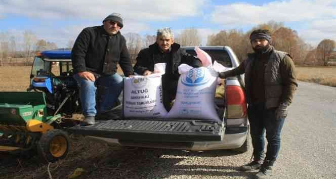 Yerli buğday toprakla buluştu