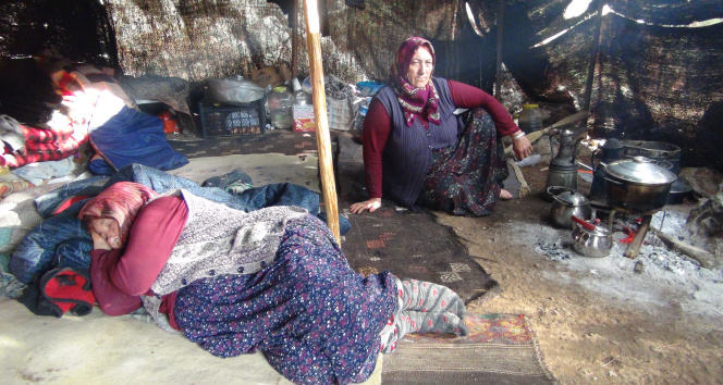 Müslümenin yaşadığı kıl çadırı anneanne ve babaanne bekliyor