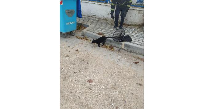 Çatıda mahsur kalan kedi kurtarıldı