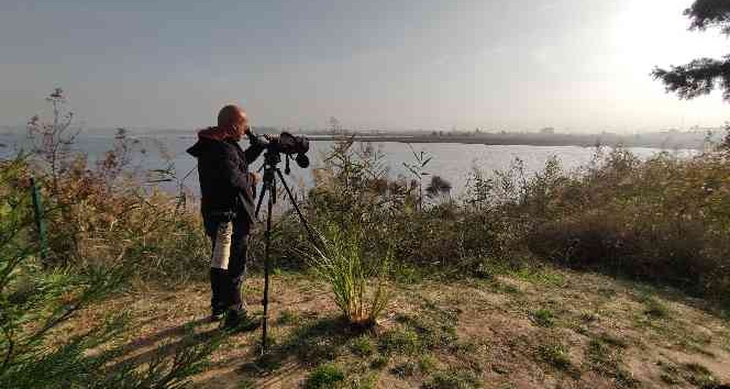 BM’nin mülteci raportörü gibi kuş gözlemcisi