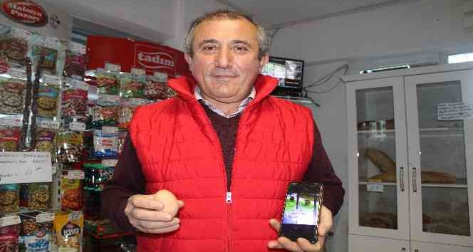 Hırsız karga: Marketten yumurta ve patates cipsi çalıyor