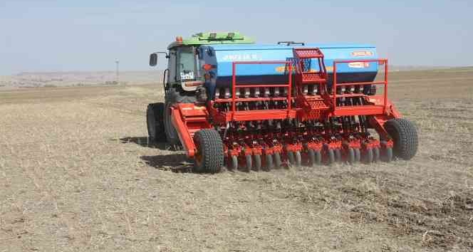 Toprak işlemesiz buğday ve arpa ekimleri yapıldı
