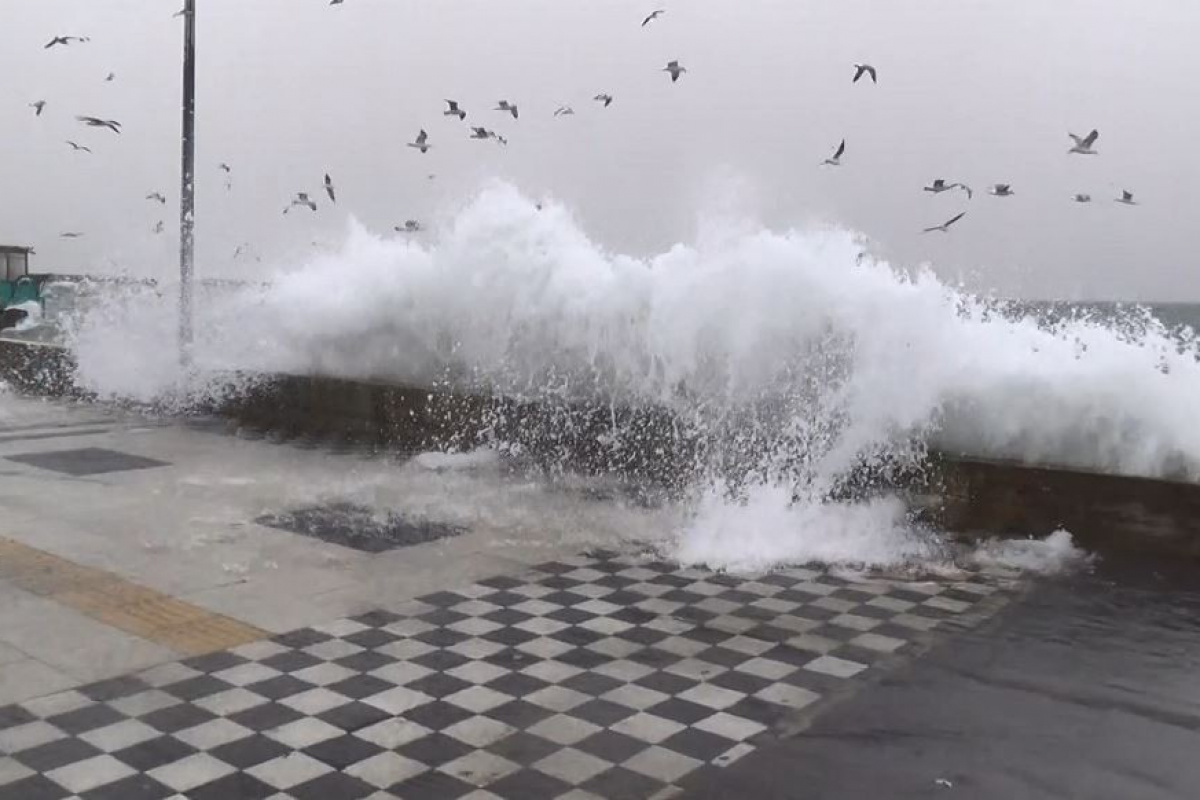 Tekirdağ'da şiddetli fırtına: Dev dalgalar kıyıya vurdu