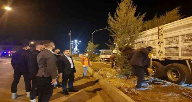 Cizre belediyesi peyzaj ve ağaçlandırma çalışmalarını sürdürüyor