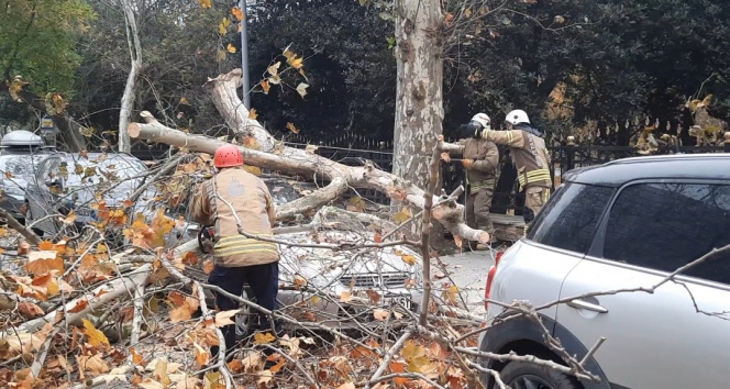 Beşiktaşta şiddetli rüzgarla devrilen ağaç, otomobilin üzerine düştü