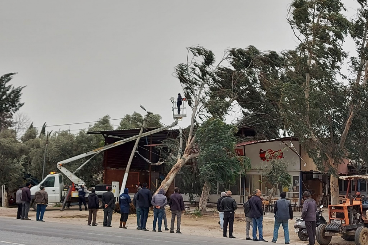Fırtına İzmir&#039;de ağaçları kökünden söktü, çatıları uçurdu