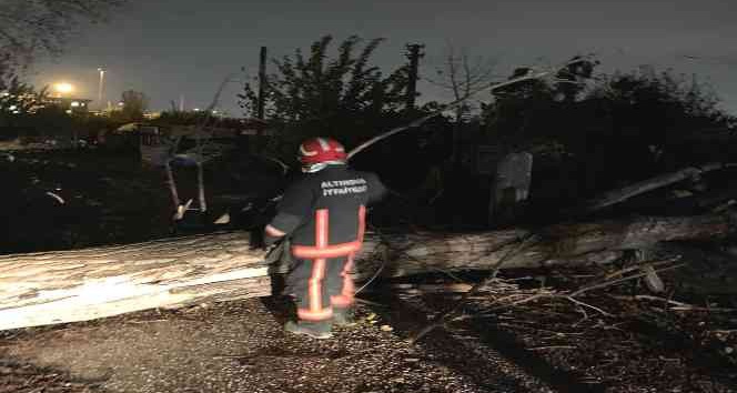 Altınova’da fırtına ağaçların devrilmesine neden oldu