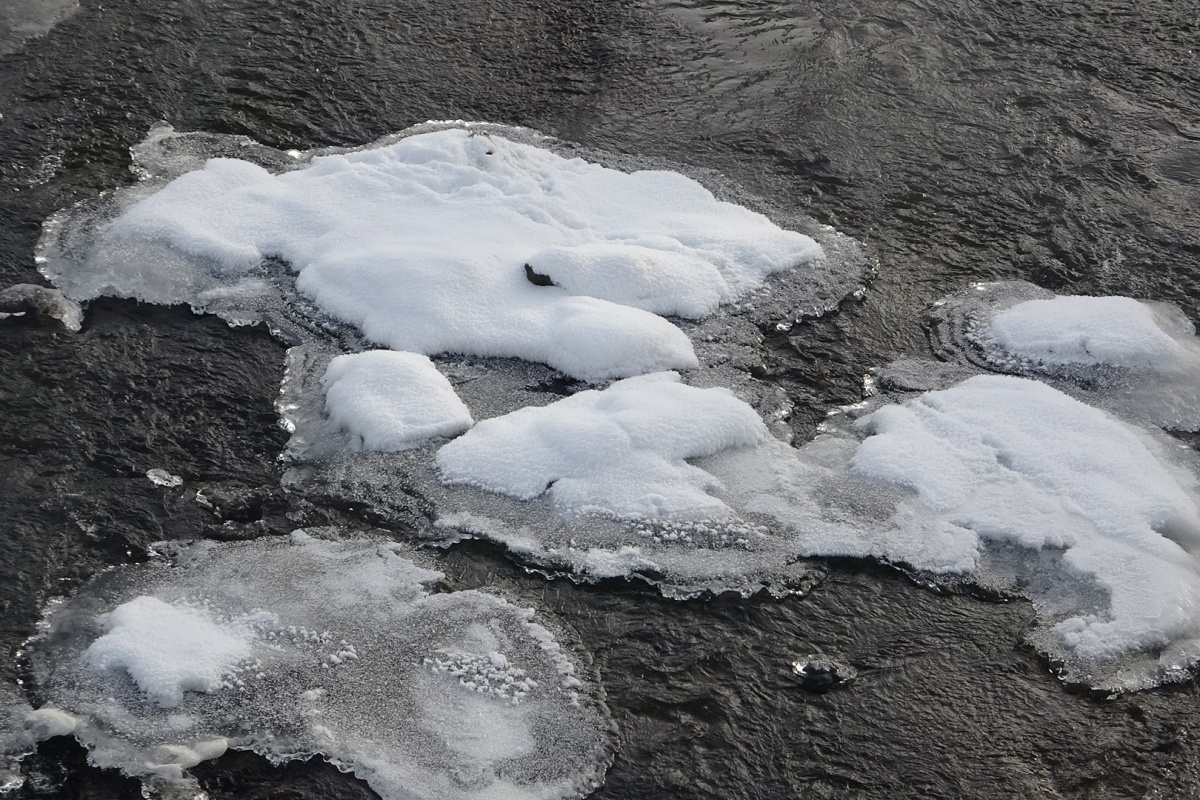 Ardahan buz kesti: Göle ilçesi eksi 8 dereceye düştü