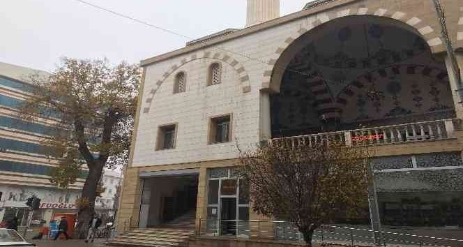 Cami duvarında mahsur kalan kediyi cami cemaati kurtardı