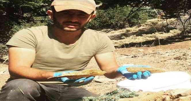 Kaya ve ağaç kovuklarındaki bal ile babası şifa bulunca balcılığı meslek edindi